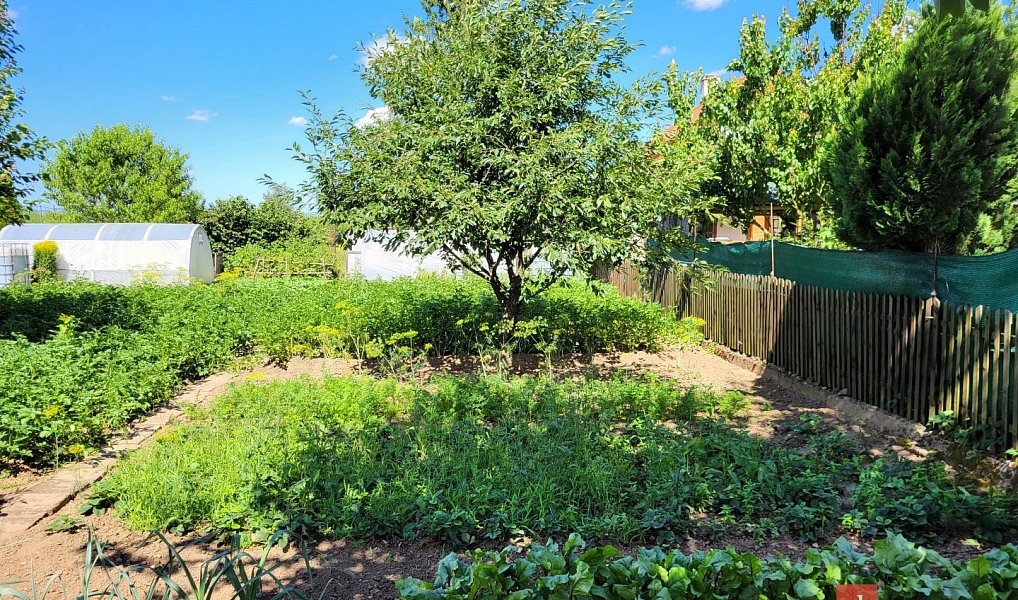 Prodej zahrady 305 m², Postoloprty – náhled fotky 4