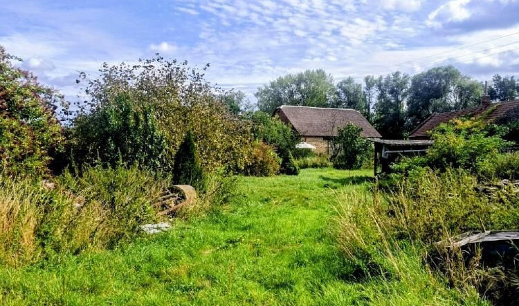 Prodej zemědělského objektu 250 m², Loučany – náhled fotky 9