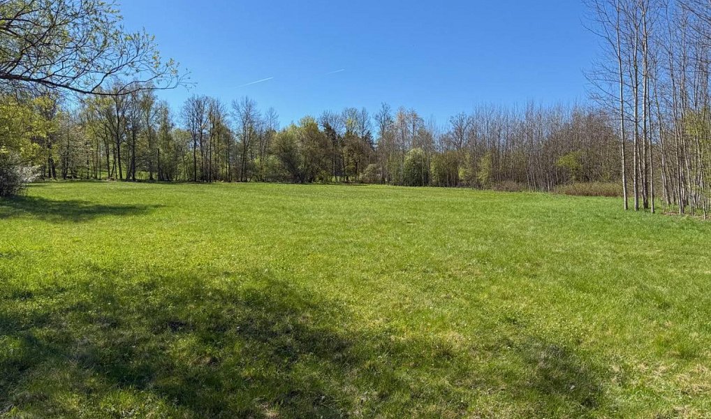 Prodej stavebního pozemku 8 053 m², Děpoltovice – náhled fotky 4
