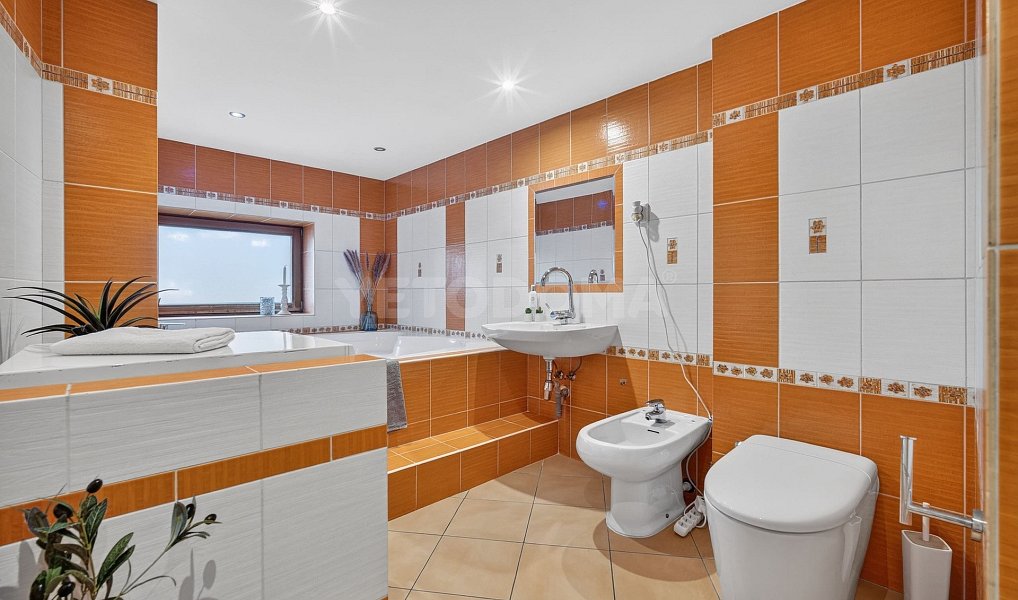 Prodej domu 280 m² s pozemkem 2 085 m², Chotíkov – náhled fotky 28