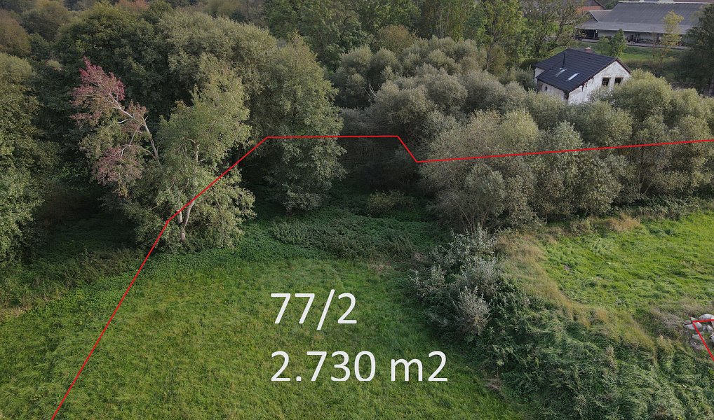 Prodej stavebního pozemku 2 730 m², Sedlec-Prčice – náhled fotky 4