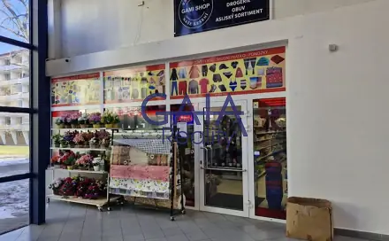 Pronájem obchodních prostor 262 m², Plumlovská, Prostějov