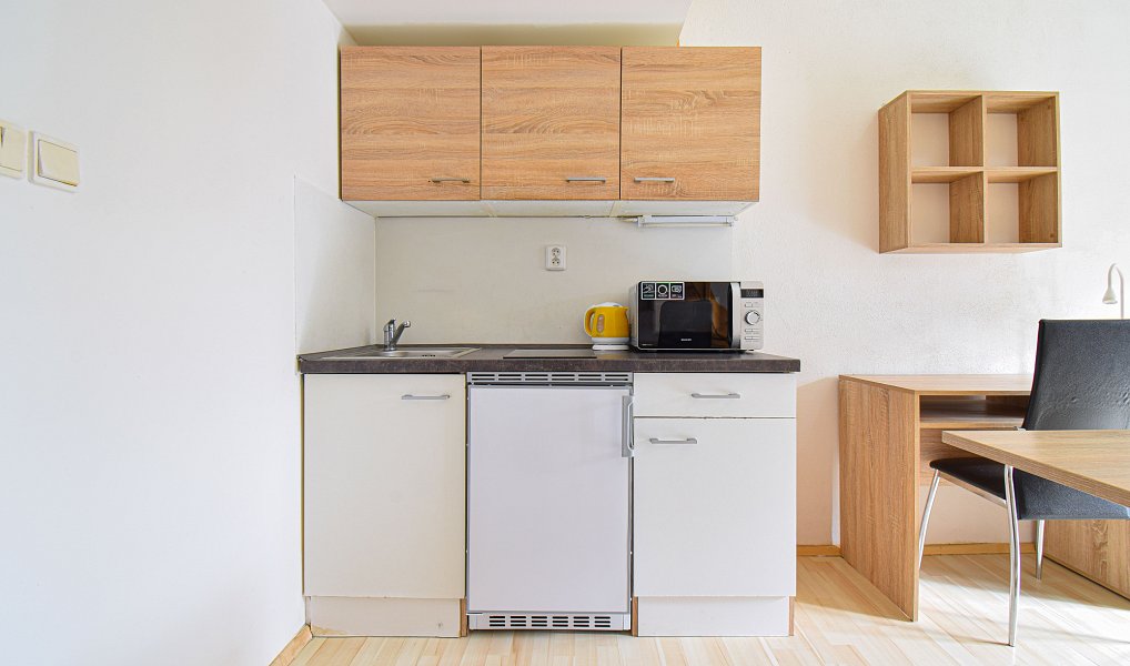 Pronájem bytu 1+kk 21 m², Brno – náhled fotky 4