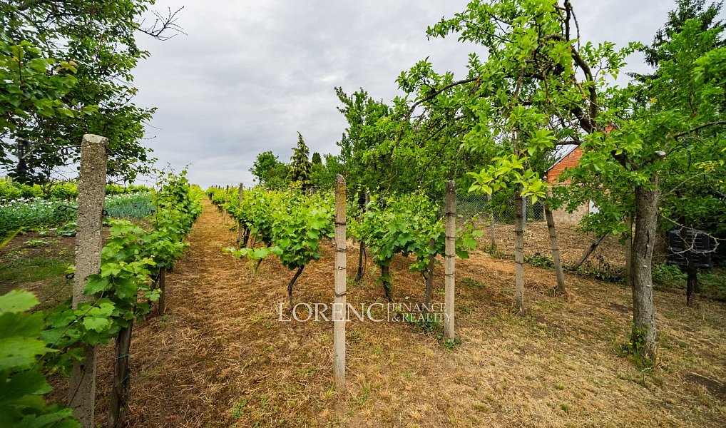 Prodej domu 104 m² s pozemkem 1 247 m², Nový Poddvorov – náhled fotky 24