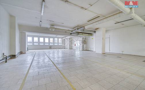 Pronájem obchodních prostor 200 m², Skupova, Plzeň - Doudlevce
