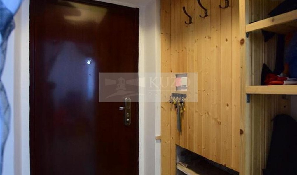 Pronájem bytu 1+1 37 m², Plzeň – náhled fotky 5