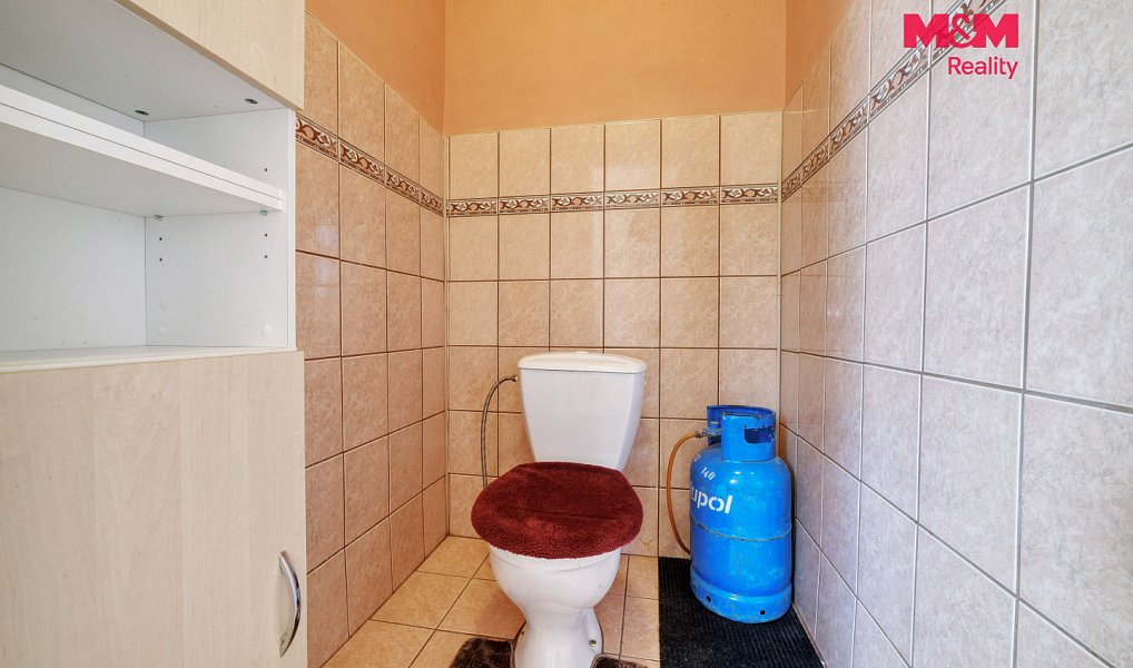 Prodej domu 247 m² s pozemkem 1 456 m², Loket – náhled fotky 23