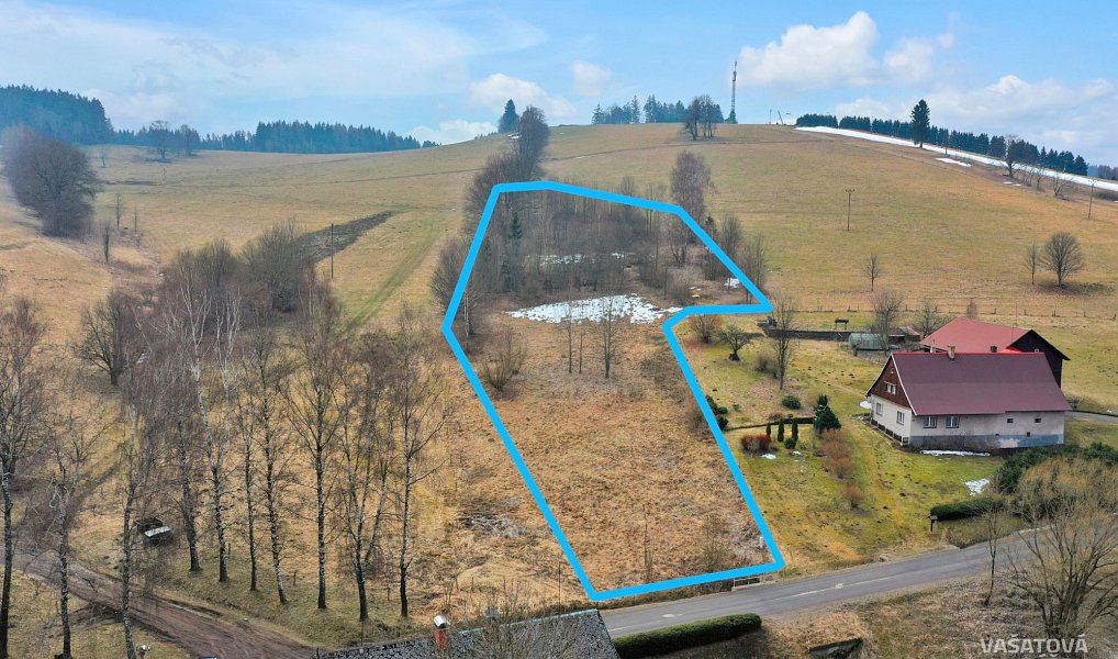 Prodej stavebního pozemku 7 647 m², Bartošovice v Orlických horách – náhled fotky 3