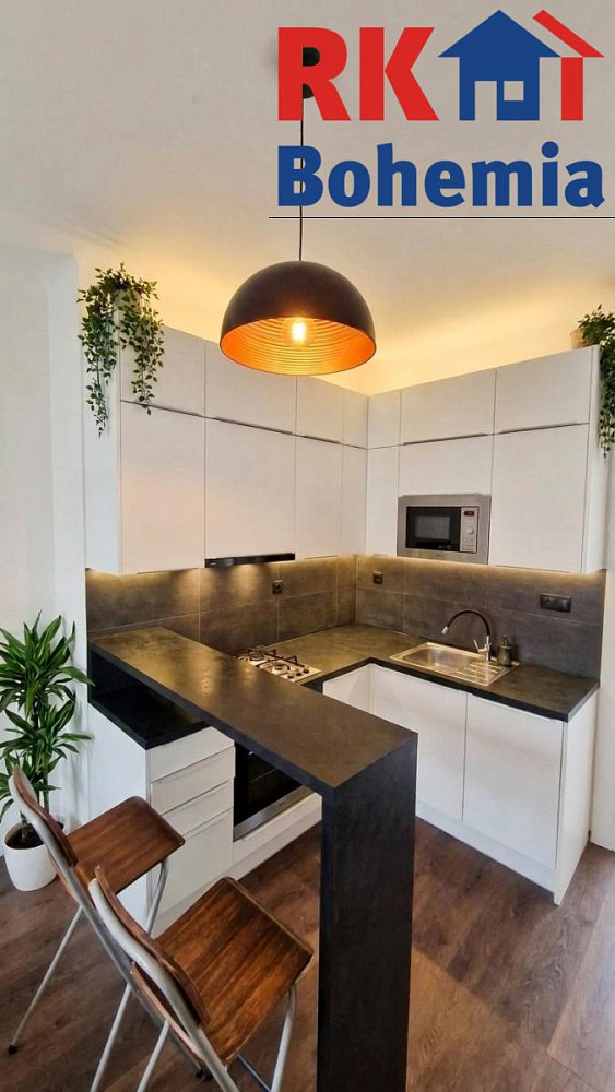 Pronájem bytu 1+1 42 m²