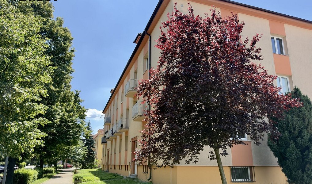 Pronájem bytu 3+1 79 m², Praha – náhled fotky 19