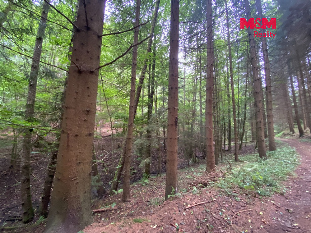 Prodej louky 2 261 m² – fotografie 2