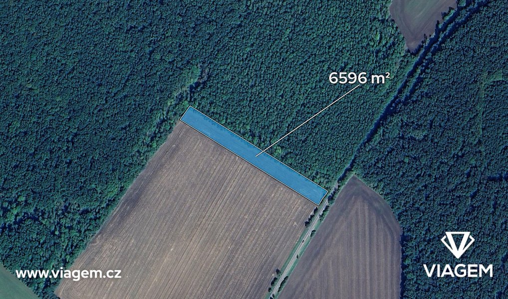 Prodej pole 3 298 m², Smidary – náhled fotky 2