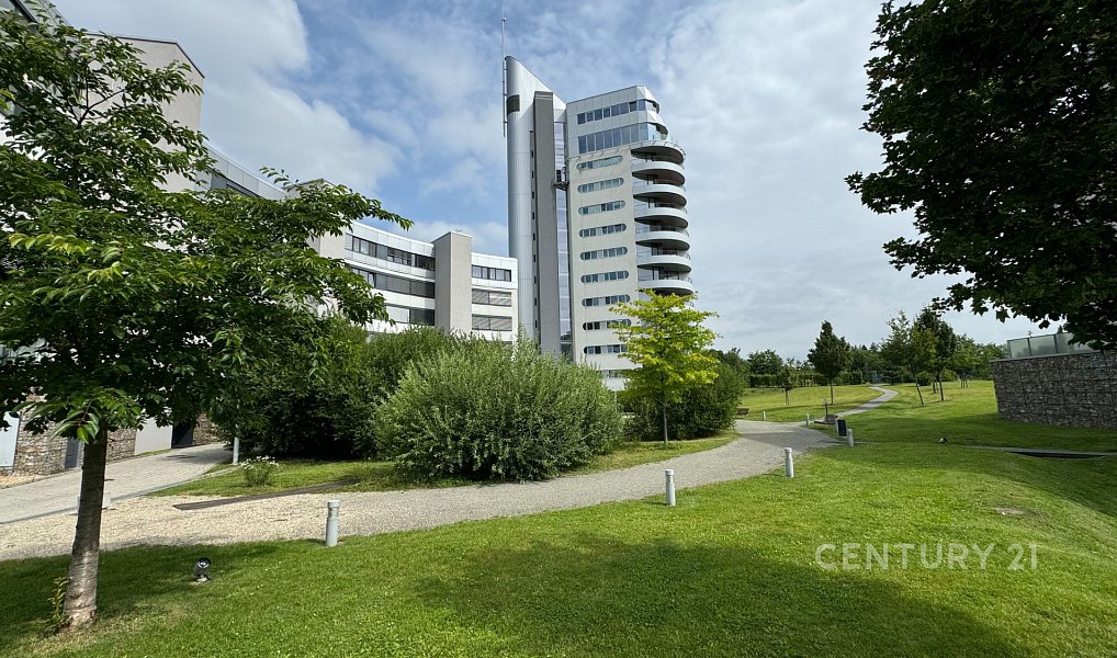 Prodej bytu 4+kk 135 m², Brno – náhled fotky 14
