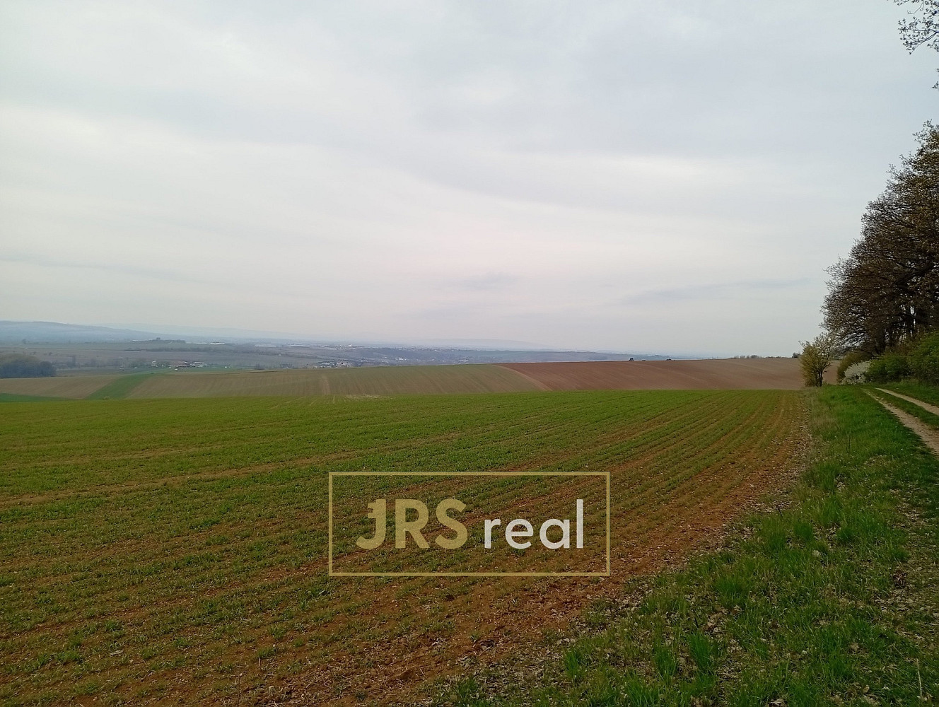 Prodej pole 2 507 m² — photo 3
