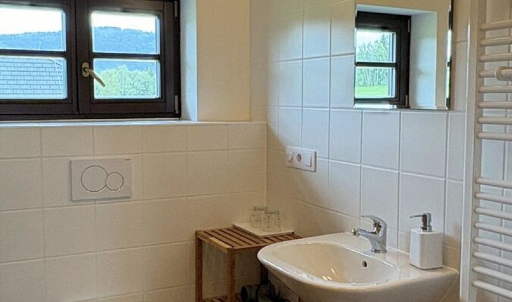 Prodej domu 239 m² s pozemkem 2 125 m², Srní – náhled fotky 21