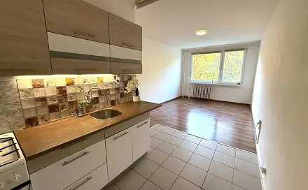 Pronájem bytu 2+kk 40 m², Josefa Suka, Most