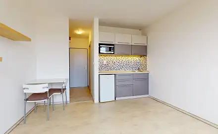 Pronájem bytu 1+kk 19 m², Průmyslová, Planá nad Lužnicí, okres Tábor