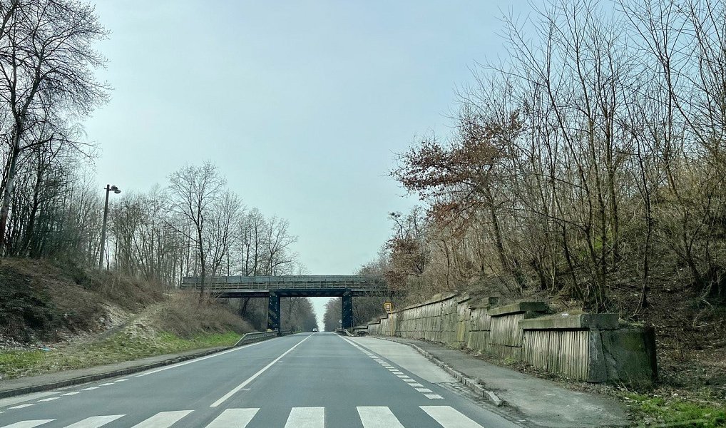 Prodej pole 15 421 m², Markvartovice – náhled fotky 19