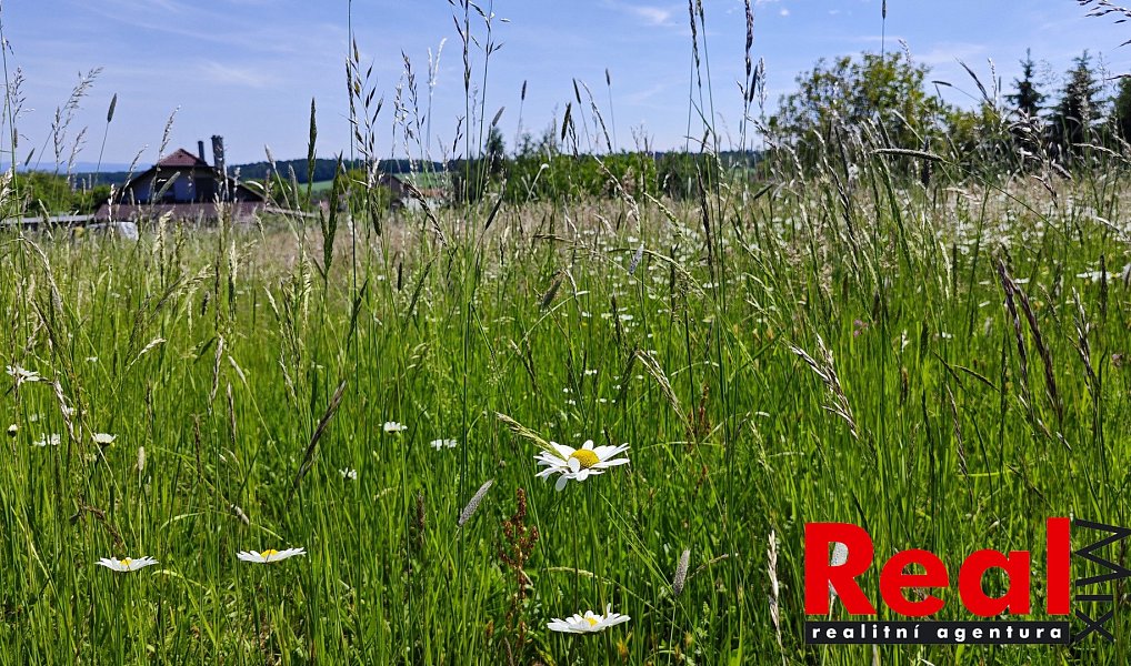 Prodej stavebního pozemku 3 053 m², Ježkovice – náhled fotky 17