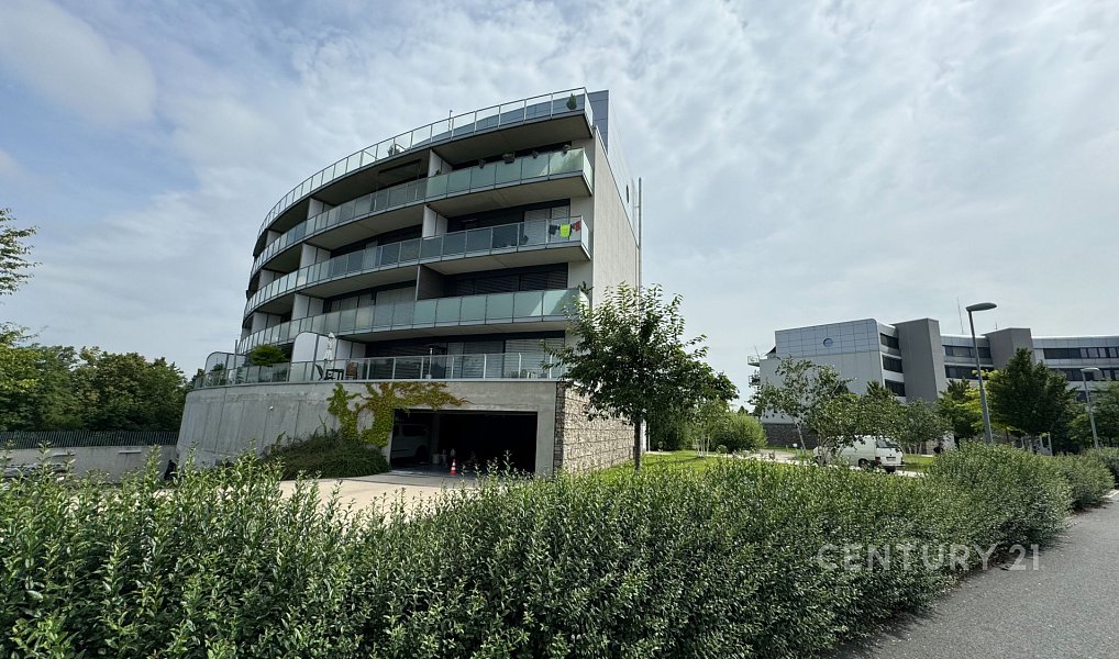 Prodej bytu 4+kk 135 m², Brno – náhled fotky 15