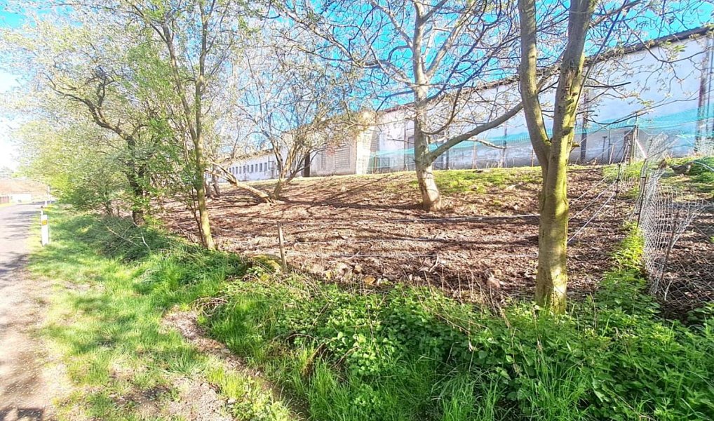Prodej pozemku 1 466 m², Žim – náhled fotky 3
