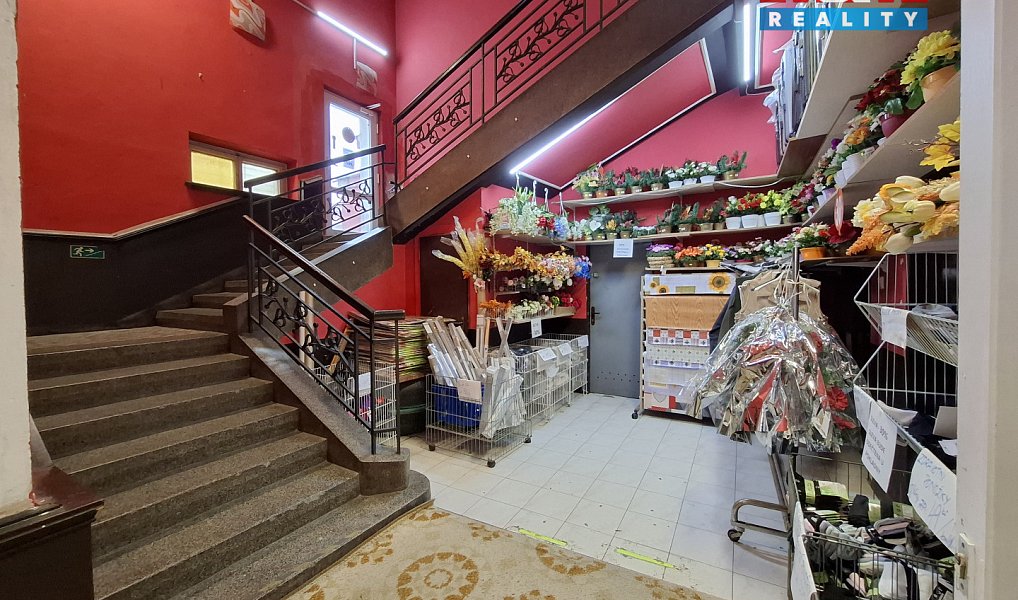 Pronájem obchodních prostor 600 m², Ostrov – náhled fotky 11