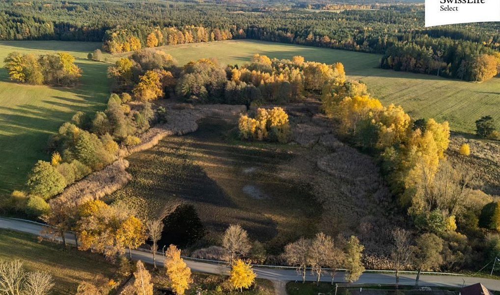 Prodej pole 317 516 m², Chlum u Třeboně – náhled fotky 5