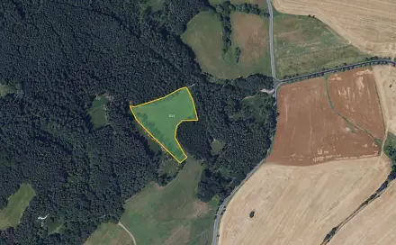 Prodej louky 11 792 m², Velké Opatovice - Bezděčí, okres Blansko