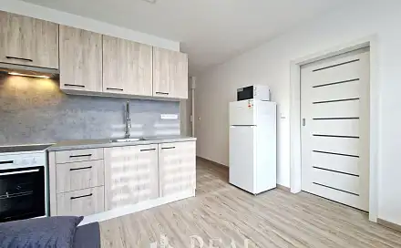 Pronájem bytu 1+1 36 m², Marš. Rybalka, Most