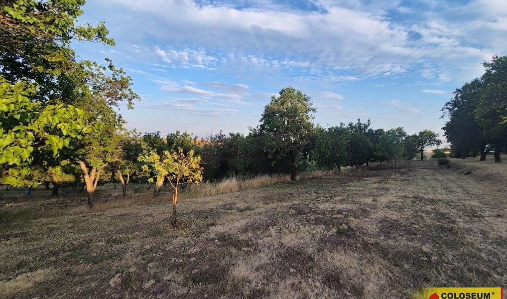 Prodej pole 872 m², Svatobořice-Mistřín – náhled fotky 2
