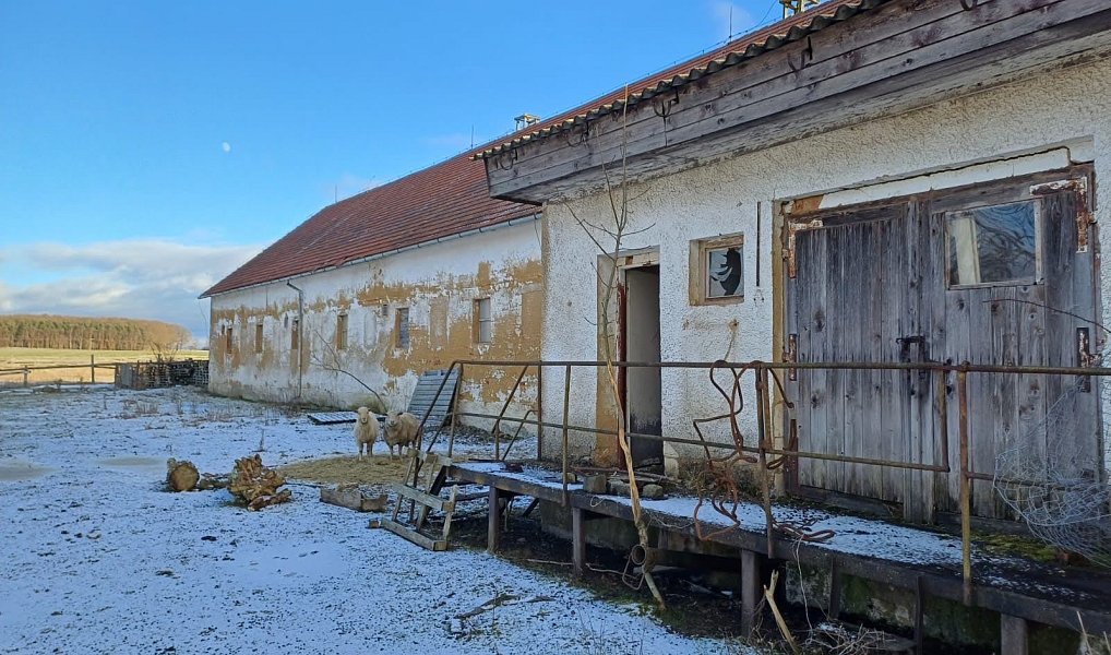 Prodej domu (jiného typu) 2 520 m² s pozemkem 34 026 m², Líšťany – náhled fotky 8