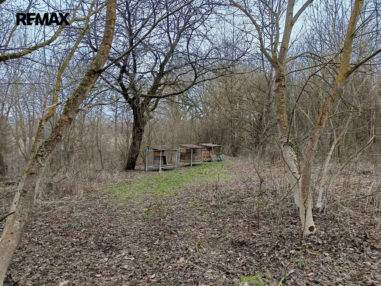 Prodej pozemku 3 482 m² – fotografie 5