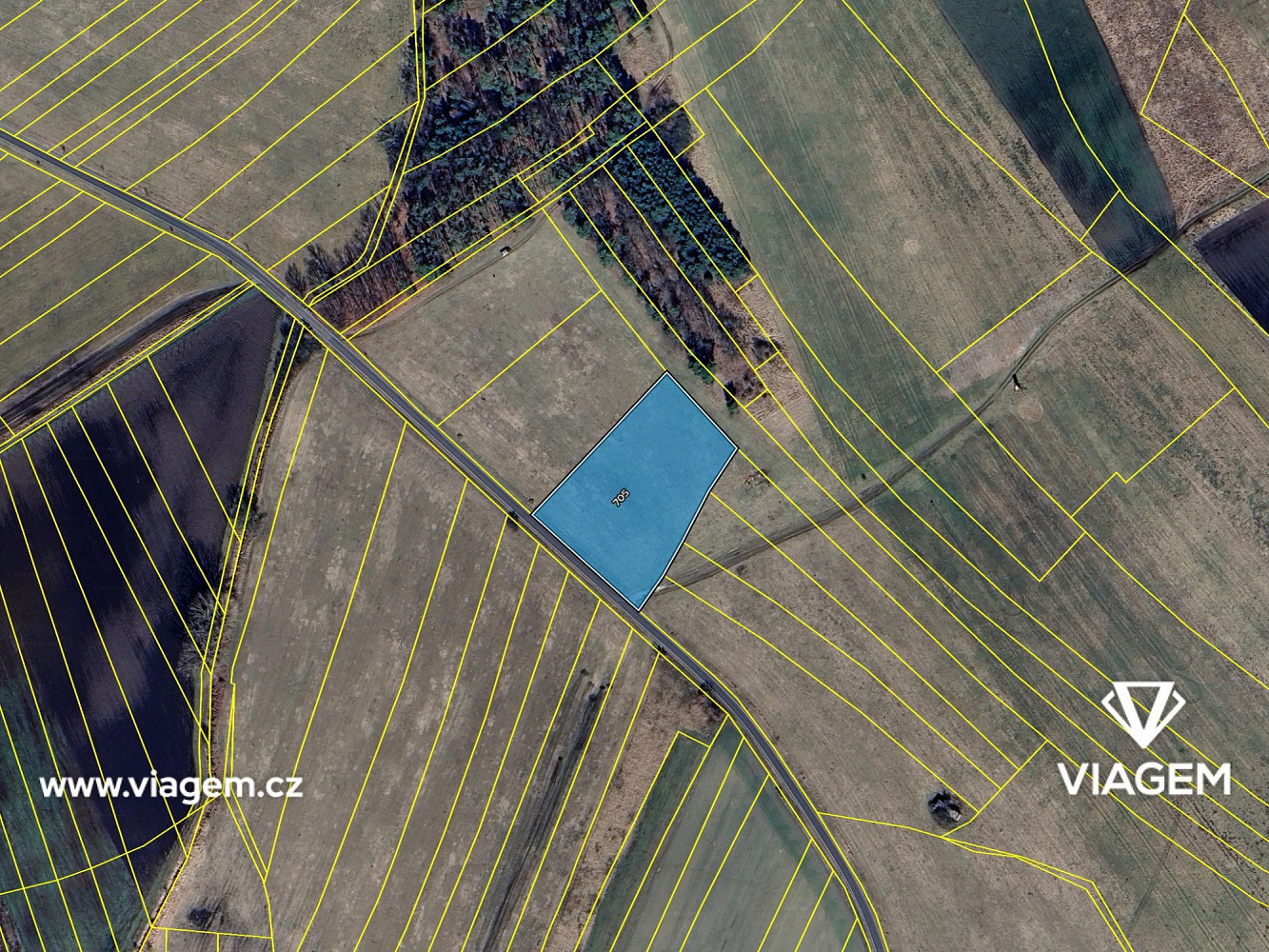 Prodej pole 6 113 m² – fotografie 4