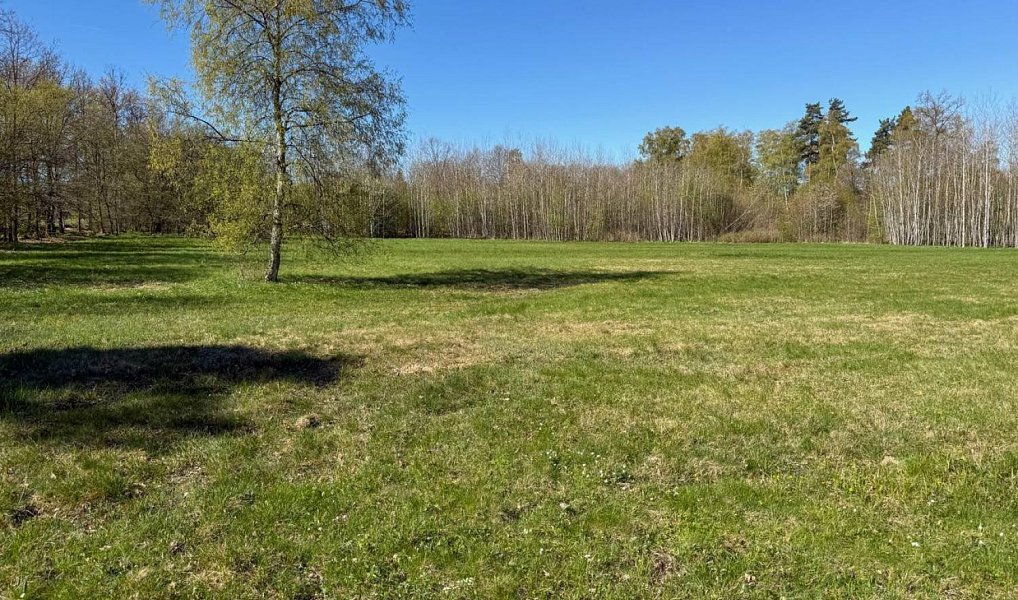 Prodej stavebního pozemku 8 053 m², Děpoltovice – náhled fotky 8