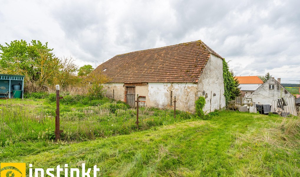 Prodej domu 192 m² s pozemkem 3 008 m², Předotice – náhled fotky 16