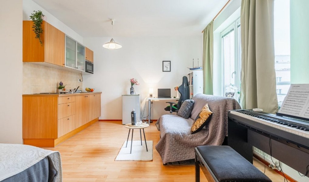 Pronájem bytu 1+kk 33 m², Praha – náhled fotky 4