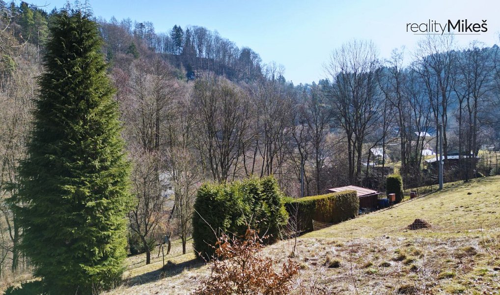 Prodej louky 4 168 m², Železný Brod – náhled fotky 5