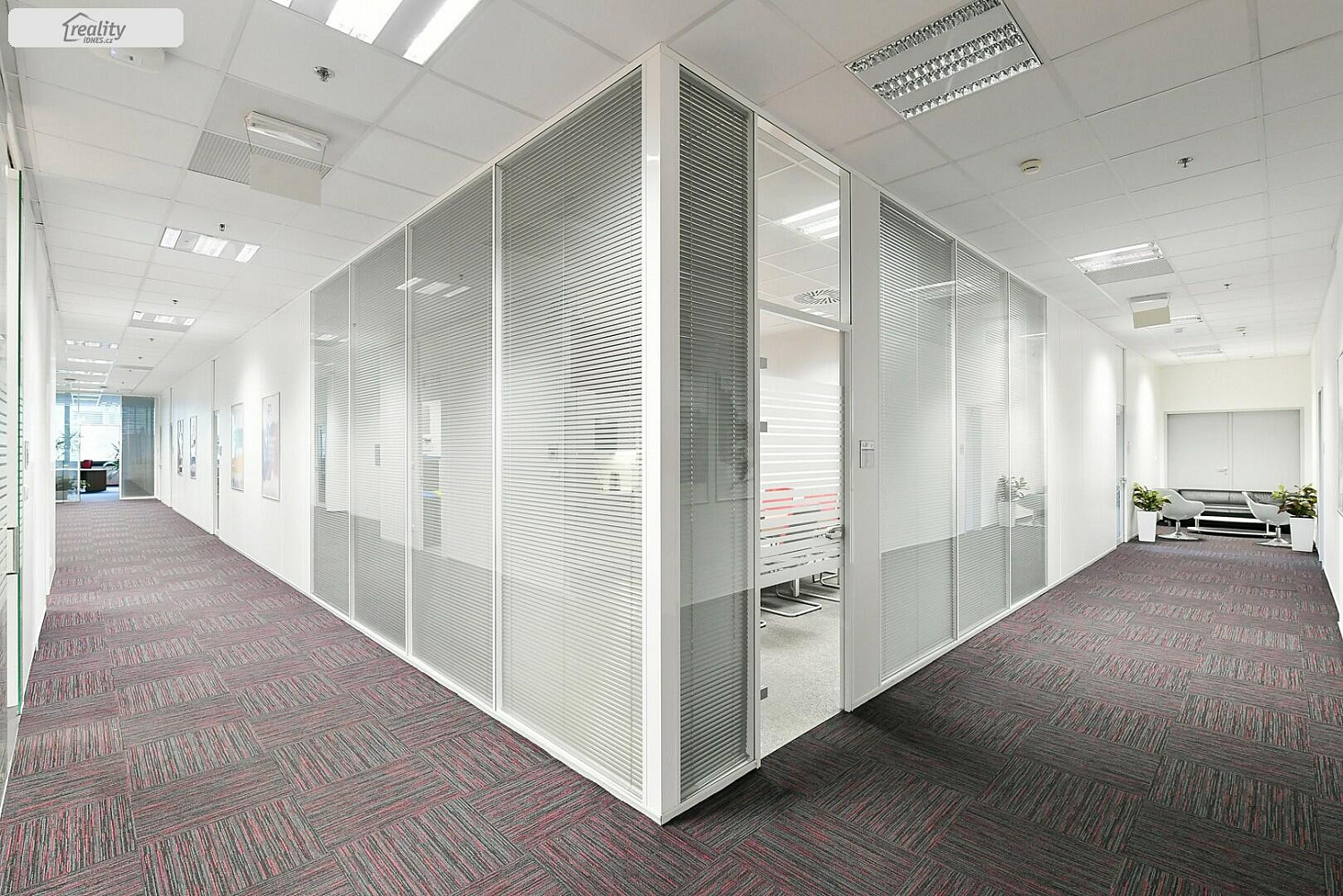 Pronájem kanceláře 340 m² — photo 5