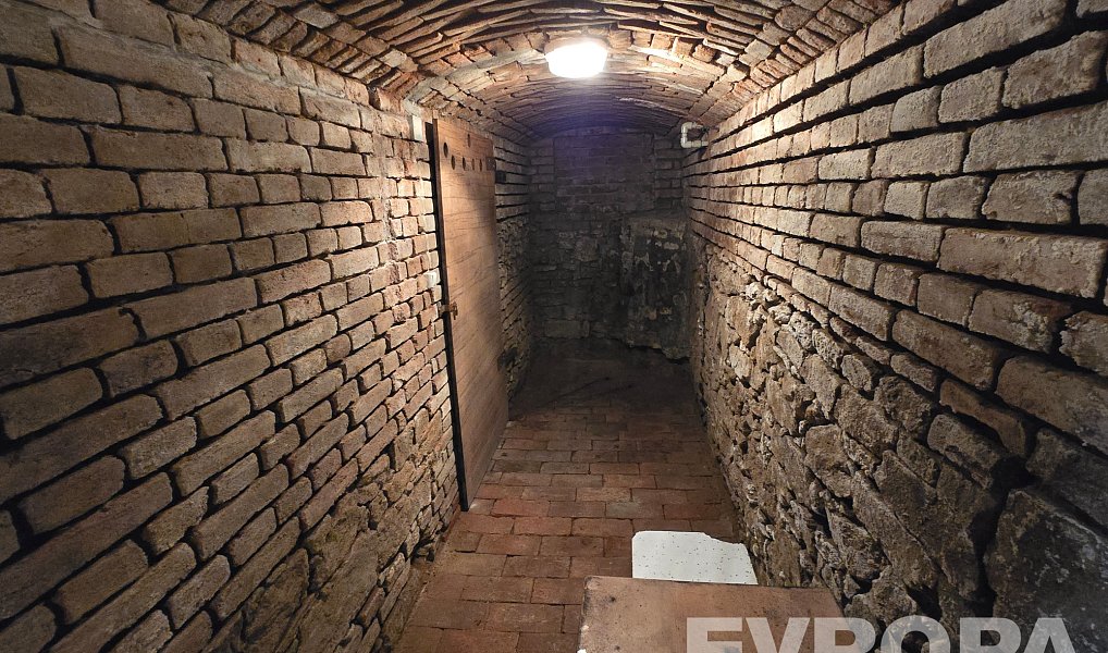 Prodej domu 368 m² s pozemkem 608 m², Havlíčkův Brod – náhled fotky 5