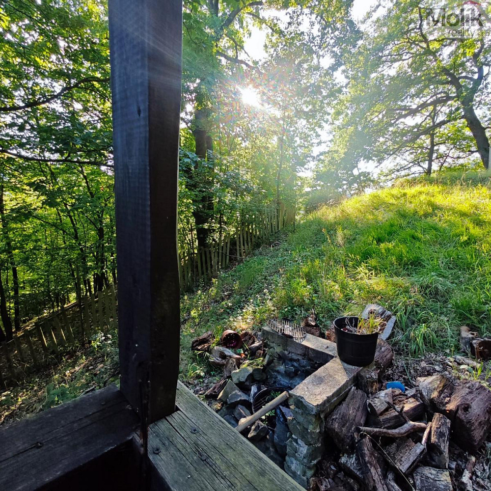 Fotka 13 z 16