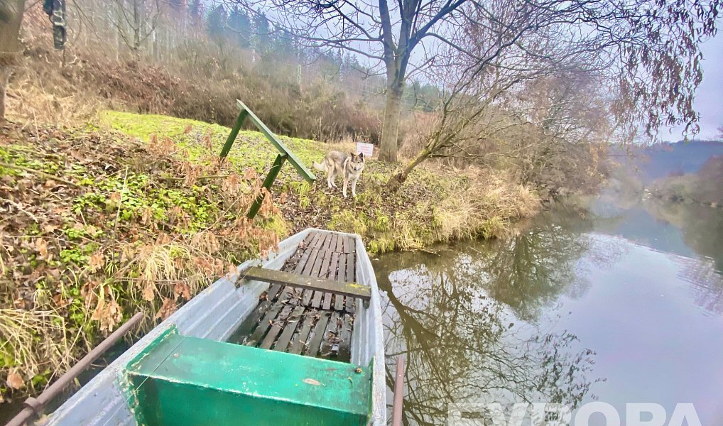 Prodej stavebního pozemku 9 000 m², Vlkančice – náhled fotky 8