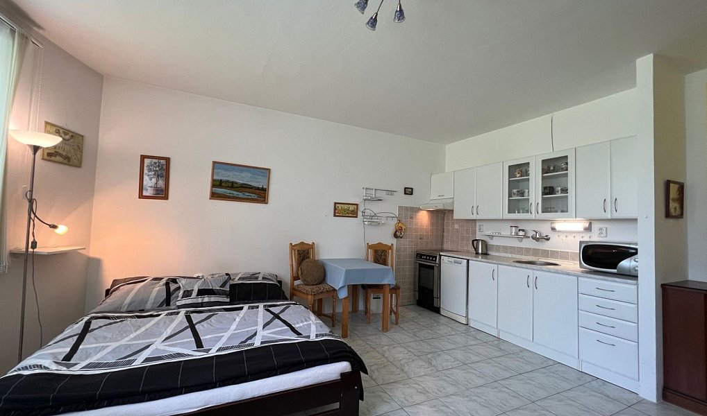 Prodej bytu 1+kk 36 m², Třeboň – náhled fotky 2