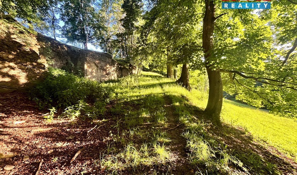 Prodej louky 5 449 m², Teplice nad Metují – náhled fotky 11