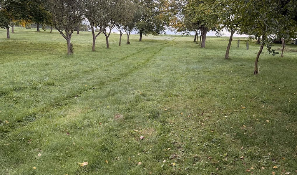 Prodej chaty/chalupy 40 m² s pozemkem 1 863 m², Líšná – náhled fotky 3