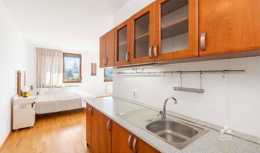 Pronájem bytu 1+kk 55 m², Praha – náhled fotky 8