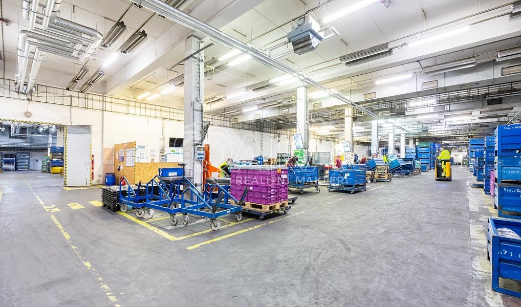 Pronájem výrobních prostor 3 025 m², Písek – náhled fotky 4