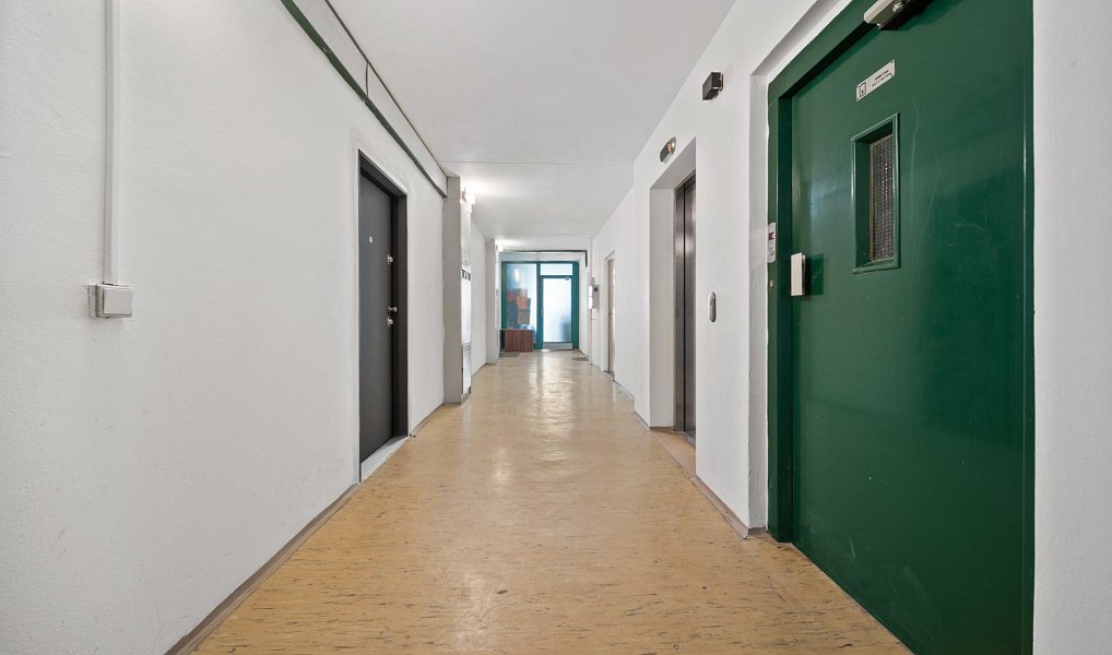 Prodej bytu 2+kk 46 m², Brno – náhled fotky 28