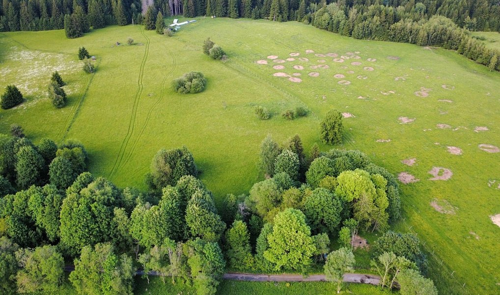 Prodej pozemku, 2281 m², Tachov, Lesná