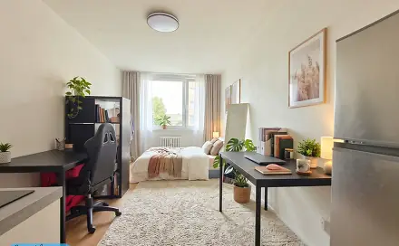 Prodej bytu 1+kk 24 m²
