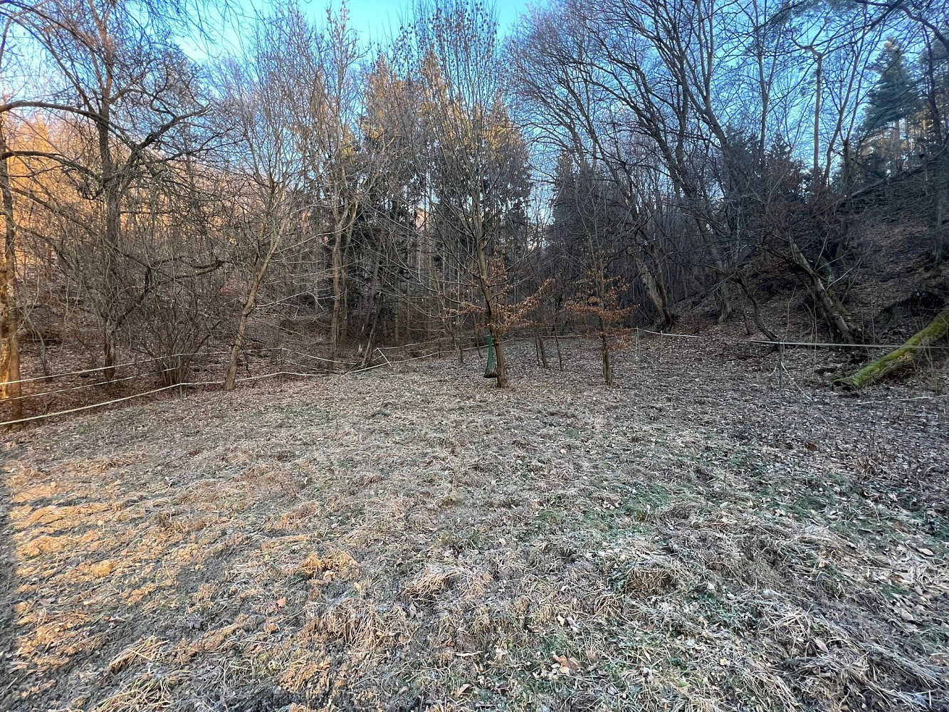 Prodej louky 3 723 m² – fotografie 5